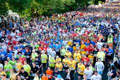 Insgesamt 9000 Teilnehmer gingen beim 11. Siegerländer AOK-Firmenlauf auf die 5.535 Meter lange Strrecke mit Start am Bismarckplatz bis in die Siegener Innenstadt und zurück. Ein Rekordergebnis, denn damit war die größte Breitensportveranstaltung Südwestfalens erstmals komplett ausgebucht!