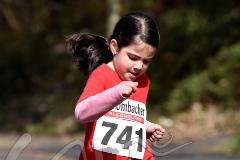 12. Kirchener Stadtlauf – 
2. Lauf Ausdauer-Cup 2016