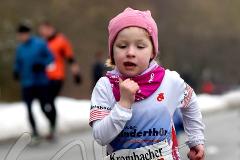 15. Wehbacher Asdorflauf des VfL Wehbach – 3. Lauf Ausdauer-Wintercup 2016/17