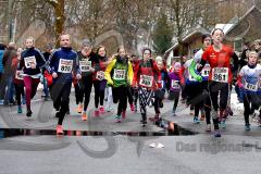 15. Wehbacher Asdorflauf des VfL Wehbach – 3. Lauf Ausdauer-Wintercup 2016/17