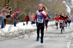 15. Wehbacher Asdorflauf des VfL Wehbach – 3. Lauf Ausdauer-Wintercup 2016/17