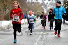 15. Wehbacher Asdorflauf des VfL Wehbach – 3. Lauf Ausdauer-Wintercup 2016/17