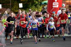 29. Hachenburger Löwenlauf - 
9. Lauf Ausdauer-Cup 2015