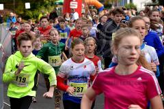 29. Hachenburger Löwenlauf - 
9. Lauf Ausdauer-Cup 2015