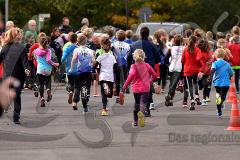 29. Hachenburger Löwenlauf - 
9. Lauf Ausdauer-Cup 2015