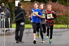 29. Hachenburger Löwenlauf - 
9. Lauf Ausdauer-Cup 2015
