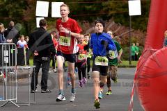 29. Hachenburger Löwenlauf - 
9. Lauf Ausdauer-Cup 2015