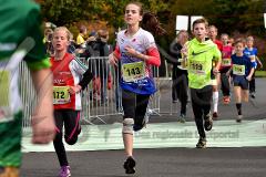 29. Hachenburger Löwenlauf - 
9. Lauf Ausdauer-Cup 2015