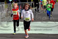 29. Hachenburger Löwenlauf - 
9. Lauf Ausdauer-Cup 2015