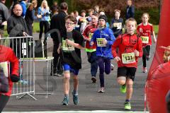 29. Hachenburger Löwenlauf - 
9. Lauf Ausdauer-Cup 2015