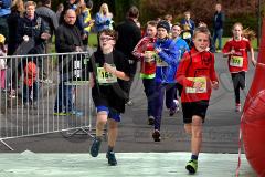 29. Hachenburger Löwenlauf - 
9. Lauf Ausdauer-Cup 2015