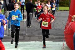 29. Hachenburger Löwenlauf - 
9. Lauf Ausdauer-Cup 2015
