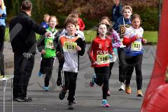 29. Hachenburger Löwenlauf - 
9. Lauf Ausdauer-Cup 2015