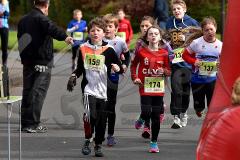 29. Hachenburger Löwenlauf - 
9. Lauf Ausdauer-Cup 2015