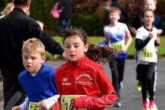 29. Hachenburger Löwenlauf - 
9. Lauf Ausdauer-Cup 2015