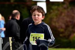 29. Hachenburger Löwenlauf - 
9. Lauf Ausdauer-Cup 2015