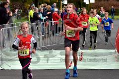 29. Hachenburger Löwenlauf - 
9. Lauf Ausdauer-Cup 2015