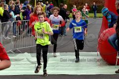 29. Hachenburger Löwenlauf - 
9. Lauf Ausdauer-Cup 2015