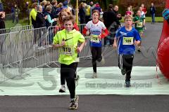 29. Hachenburger Löwenlauf - 
9. Lauf Ausdauer-Cup 2015