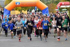 29. Hachenburger Löwenlauf - 
9. Lauf Ausdauer-Cup 2015