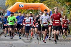 29. Hachenburger Löwenlauf - 
9. Lauf Ausdauer-Cup 2015