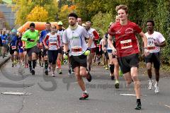 29. Hachenburger Löwenlauf - 
9. Lauf Ausdauer-Cup 2015