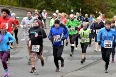29. Hachenburger Löwenlauf - 
9. Lauf Ausdauer-Cup 2015