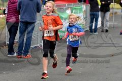 30. Hachenburger Löwenlauf - 
9. Lauf Ausdauer-Cup 2016