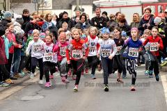 30. Herdorfer Goetzelauf – 
1. Lauf Ausdauer-Cup 2016