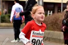 30. Herdorfer Goetzelauf – 
1. Lauf Ausdauer-Cup 2016