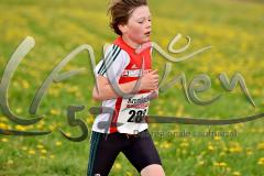 8. Netphener Keilerlauf – 
2. Lauf SVB-3-Städte-Tour 2015