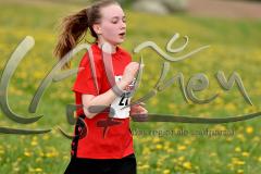 8. Netphener Keilerlauf – 
2. Lauf SVB-3-Städte-Tour 2015