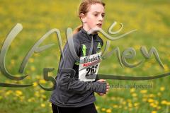 8. Netphener Keilerlauf – 
2. Lauf SVB-3-Städte-Tour 2015