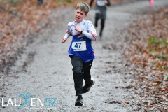 Ferndorfer Frühjahrswaldlauf 2026 – 1. Lauf SVB-3-Städte-Tour 2026