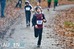 Ferndorfer Frühjahrswaldlauf 2026 – 1. Lauf SVB-3-Städte-Tour 2026
