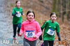 Ferndorfer Frühjahrswaldlauf 2026 – 1. Lauf SVB-3-Städte-Tour 2026