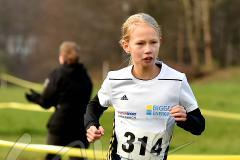 Kreis-Crosslauf-Meisterschaften der Kreise Olpe und Siegen-Wittgenstein