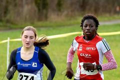 Kreis-Crosslauf-Meisterschaften der Kreise Olpe und Siegen-Wittgenstein