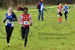 Kreis-Crosslauf-Meisterschaften der Kreise Olpe und Siegen-Wittgenstein