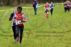 Kreis-Crosslauf-Meisterschaften der Kreise Olpe und Siegen-Wittgenstein