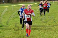 Kreis-Crosslauf-Meisterschaften der Kreise Olpe und Siegen-Wittgenstein