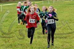 Kreis-Crosslauf-Meisterschaften der Kreise Olpe und Siegen-Wittgenstein