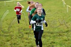 Kreis-Crosslauf-Meisterschaften der Kreise Olpe und Siegen-Wittgenstein