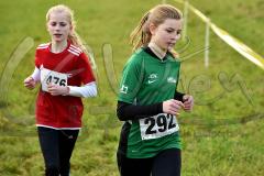 Kreis-Crosslauf-Meisterschaften der Kreise Olpe und Siegen-Wittgenstein