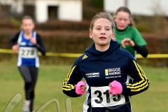 Kreis-Crosslauf-Meisterschaften der Kreise Olpe und Siegen-Wittgenstein