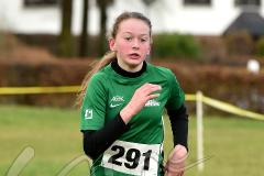 Kreis-Crosslauf-Meisterschaften der Kreise Olpe und Siegen-Wittgenstein