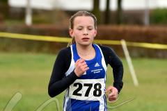 Kreis-Crosslauf-Meisterschaften der Kreise Olpe und Siegen-Wittgenstein