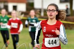 Kreis-Crosslauf-Meisterschaften der Kreise Olpe und Siegen-Wittgenstein