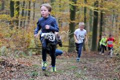 Kreis-Crosslauf-Meisterschaften der Kreise Olpe und Siegen-Wittgenstein