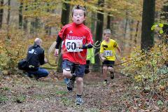 Kreis-Crosslauf-Meisterschaften der Kreise Olpe und Siegen-Wittgenstein Kreis-Crosslauf-Meisterschaften der Kreise Olpe und Siegen-Wittgenstein